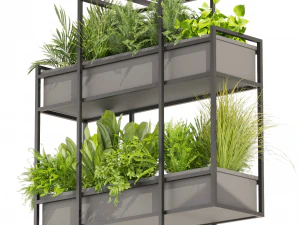 Collection plant vol 491 - hanging - bush - ampelous 3D Model