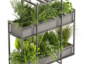 Collection plant vol 491 - hanging - bush - ampelous 3D Model