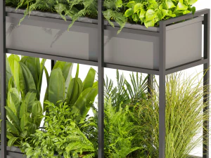 Collection plant vol 491 - hanging - bush - ampelous 3D Model