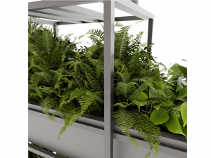 Collection plant vol 491 - blender model 3D-Modell