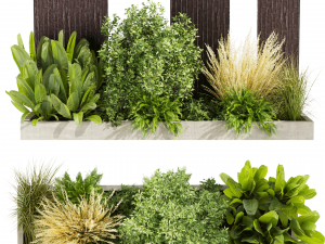 Collection plant vol 493 - garden - leaf - bush - wood Model 3D