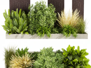 Коллекционное растение, том 493 - сад - лист - куст - древесина 3D Модель