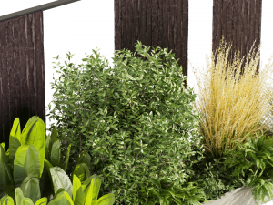 Collection plant vol 493 - garden - leaf - bush - wood 3D Model
