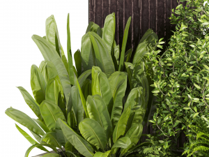 Collection plant vol 493 - garden - leaf - bush - wood 3D Model