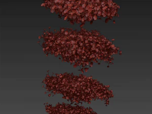 Collection plant vol 494 - Outdoor - bush - ivy - Schefflera 3D Model