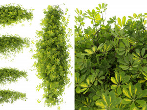 Collection plant vol 494 - blender model 3D Модель