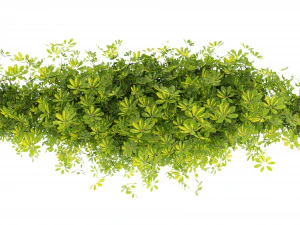 Collection plant vol 494 - blender model 3D Model