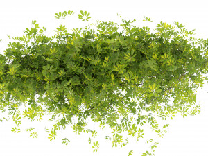 Collection plant vol 494 - blender model Model 3D