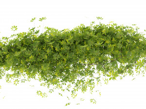 Collection plant vol 494 - blender model Model 3D