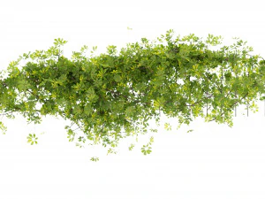 Collection plant vol 494 - blender model 3D Model