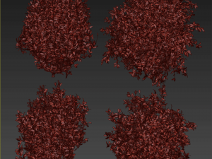 Collection plant vol 495 - Outdoor - bush - ivy 3D Model