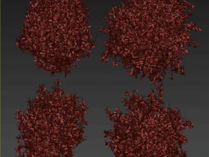 Collection plant vol 495 - Outdoor - bush - ivy 3D Model