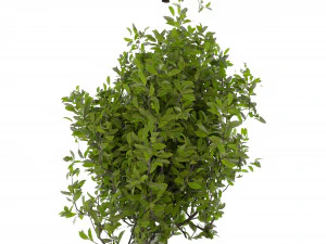 Collection plant vol 495 - blender model 3D Model
