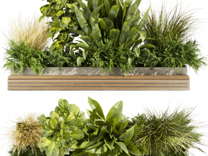 Collection plant vol 496 - garden - leaf - banana - wood 3Dモデル