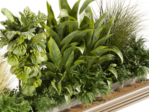 Collection plant vol 496 - garden - leaf - banana - wood 3D Model
