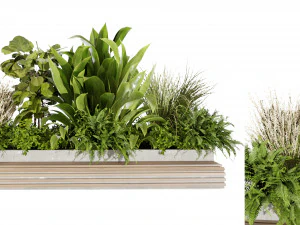 Коллекция растений, том 496 - модель блендера 3D Модель