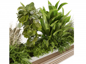 Collection plant vol 496 - blender model 3D Модель