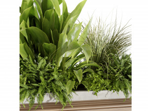 Collection plant vol 496 - blender model 3D Модель