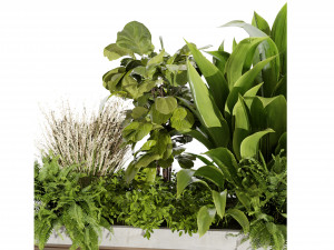 Collection plant vol 496 - blender model 3D Модель
