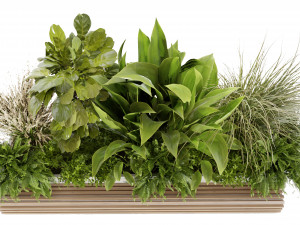 Collection plant vol 496 - blender model 3D Модель