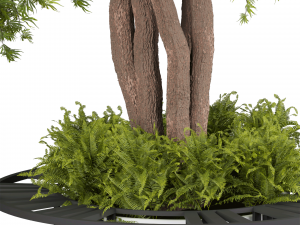 Collection plant vol 497 - Urban environment - tree - Acer Modelo 3D