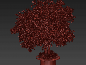 Collection plant vol 497 - Urban environment - tree - Acer Modelo 3D