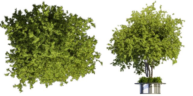Collection plant vol 497 - blender model 3D Model .c4d .max .obj .3ds .fbx .stl .blend 