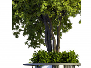 Collection plant vol 497 - blender model 3D Model