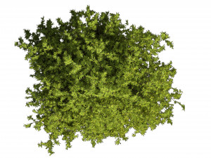 Collection plant vol 497 - blender model 3D Model