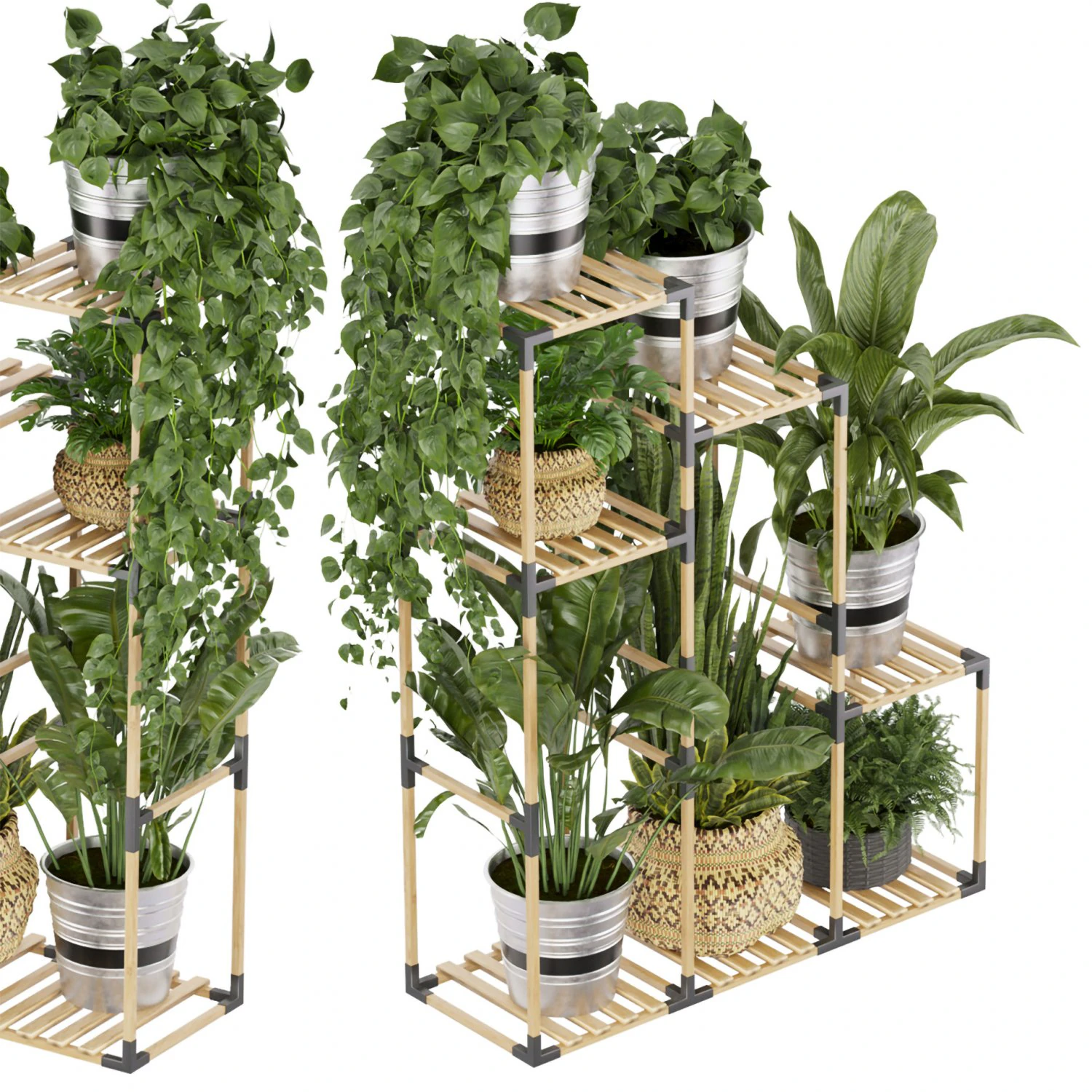 Collection plant vol 498 3D Model .c4d .max .obj .3ds .fbx .stl .blend 