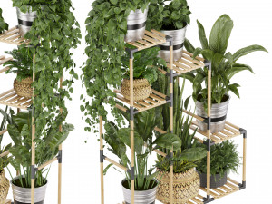 Collection plant vol 498 3D मॉडल