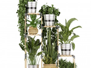 Collection plant vol 498 Modelo 3D