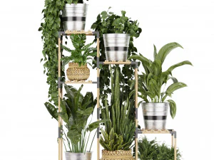 Collection plant vol 498 3D Model