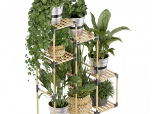 Collection plant vol 498 3D Model