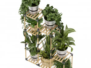 Collection plant vol 498 3D Model