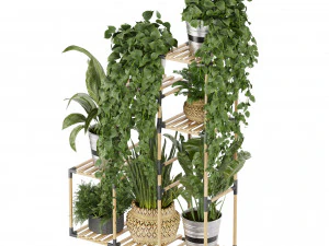 Collection plant vol 498 3D Model