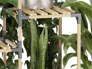 Collection plant vol 498 3D Model
