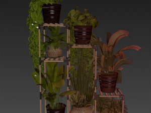 Collection plant vol 498 Modelo 3D