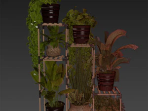 Collection plant vol 498 3D Model