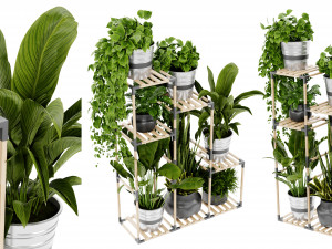 Collection plant vol 498 - blender model Modèle 3D