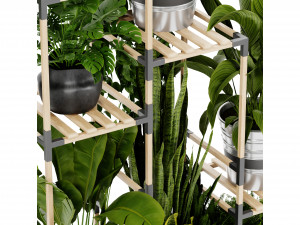 Collection plant vol 498 - blender model 3D 모델