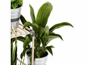 Collection plant vol 498 - blender model 3D 모델