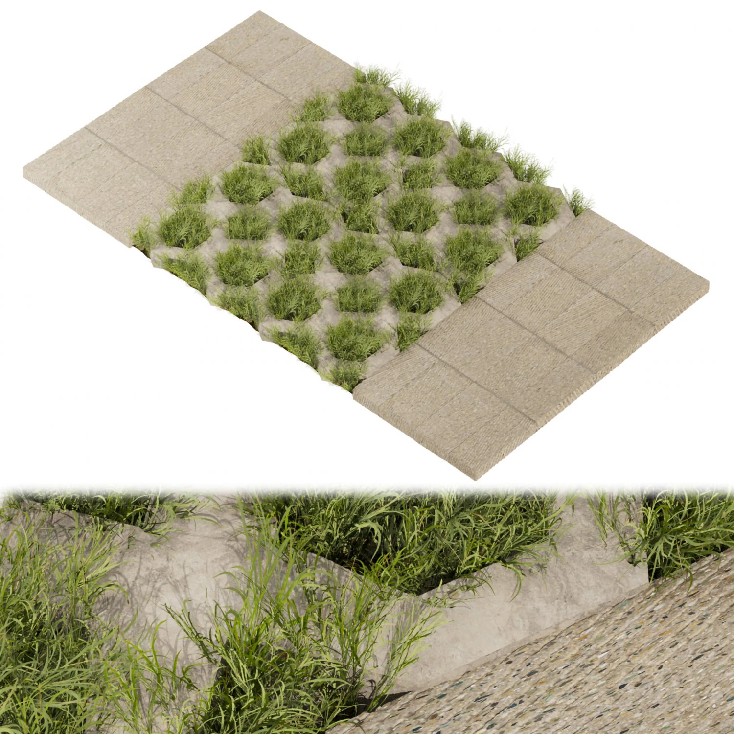 Collection plant vol 499 - concrete - tileable - grass 3D Model .c4d .max .obj .3ds .fbx .stl .blend 
