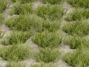 Collection plant vol 499 - concrete - tileable - grass Modèle 3D