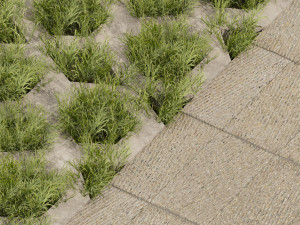 Collection plant vol 499 - concrete - tileable - grass Modèle 3D