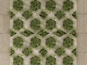 Collection plant vol 499 - concrete - tileable - grass Modèle 3D