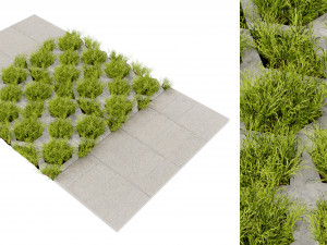 Collection plant vol 499 - blender model 3D-Modell