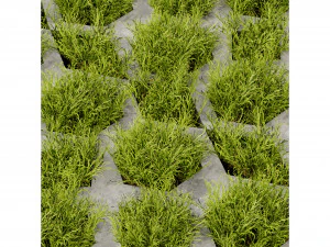 Collection plant vol 499 - blender model 3D Model