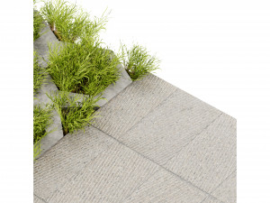 Collection plant vol 499 - blender model 3D 모델