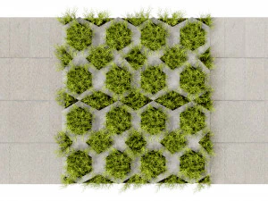 Collection plant vol 499 - blender model 3D Model
